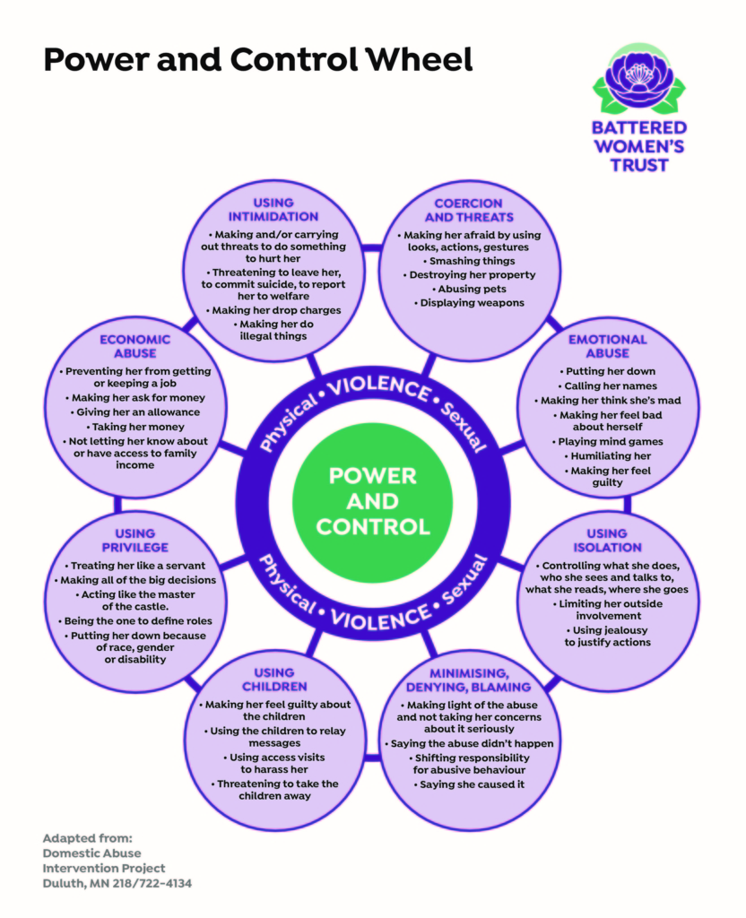 A graphic wheel showing the different types of power and control during family violence